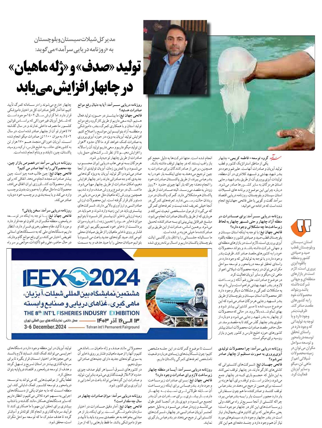 تولید «صدف» و «ژله ماهیان» در چابهار افزایش مییابد