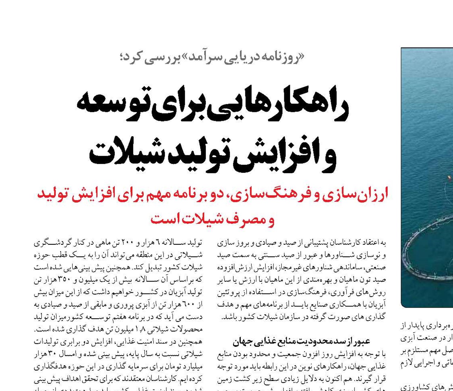 راهکارهایی برای توسعه  و افزایش تولید شیلات