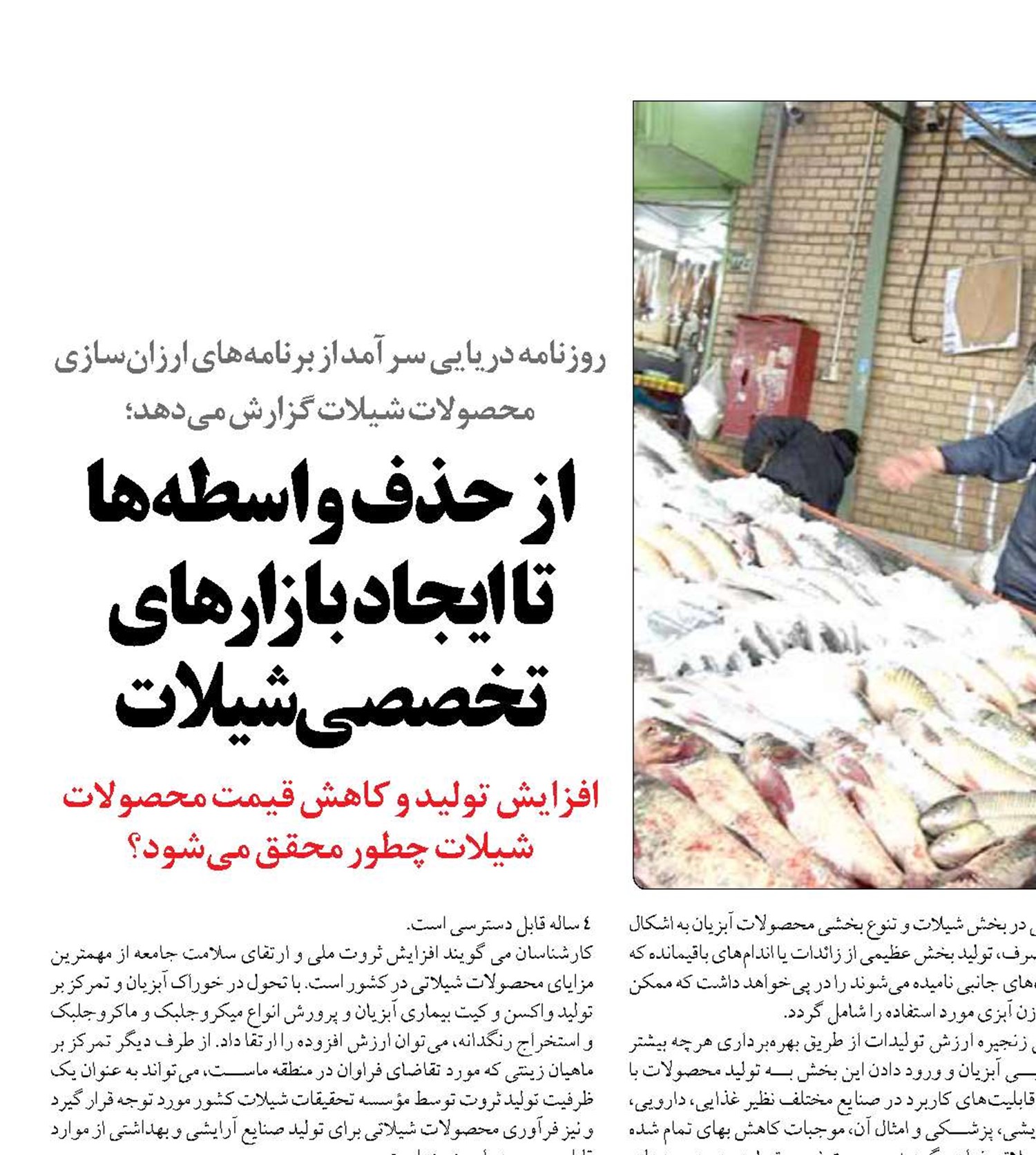 از حذف واسطه‌ها تا ایجاد بازارهای تخصصی شیلات