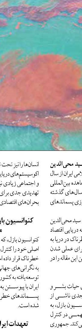 سود صياد و مصرف كننده در ورود كيلكا به سبد غذايي خانوار