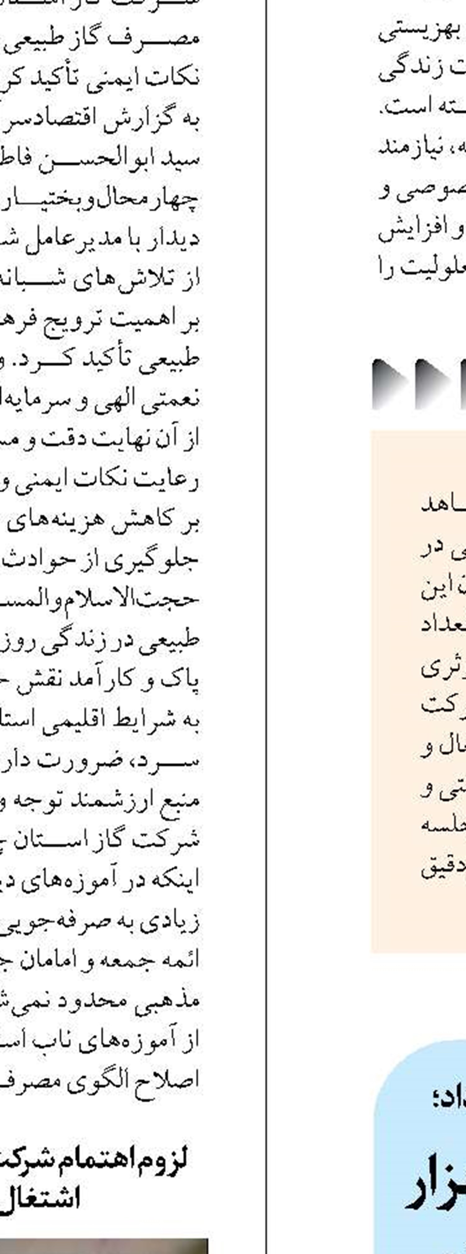 گسترش پروانه برگخوار در ۴۱ هزار هکتار از بلوطستان‌های لرستان