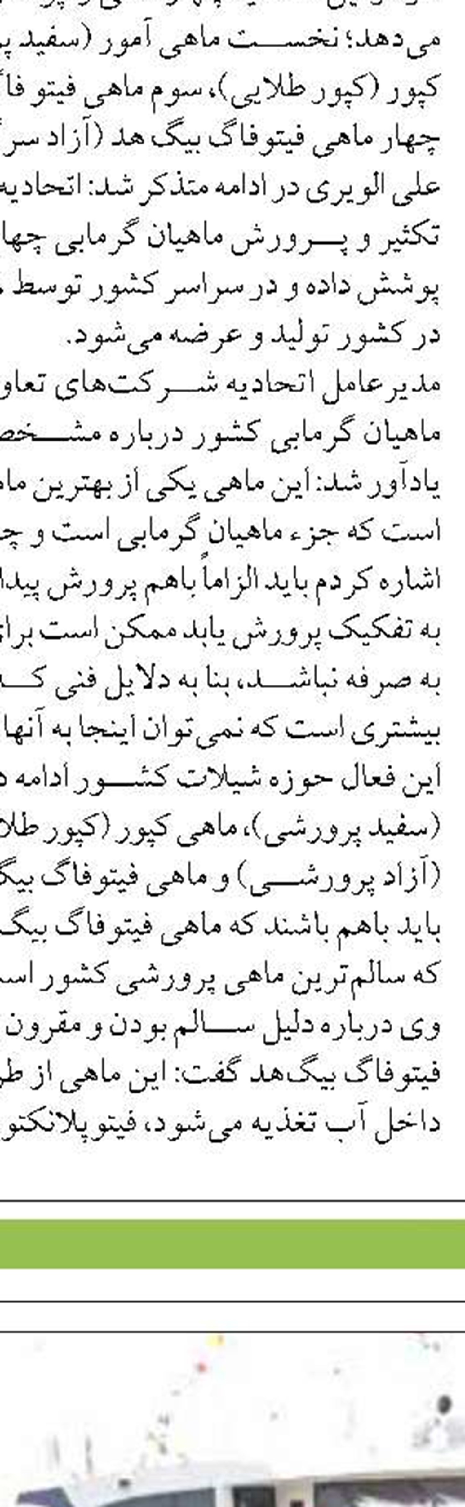 ۱۳ هزار تن میگو از مزارع پرورشی  استان بوشهر برداشت شد