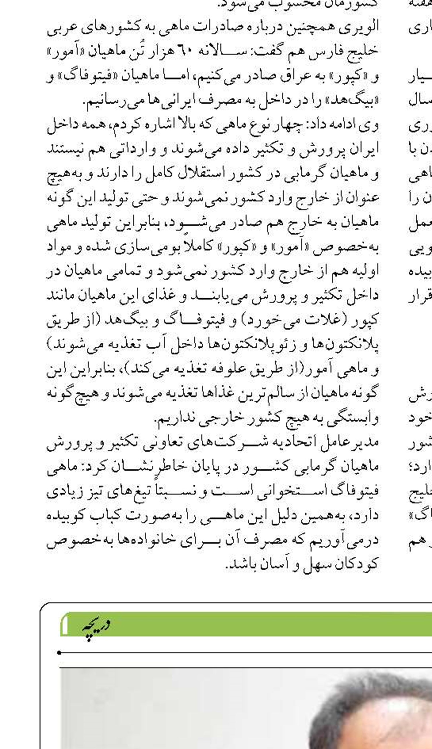 اقدامات سازمان بنادر در راستای کاهش سازه‌های غیرمجاز ساحلی