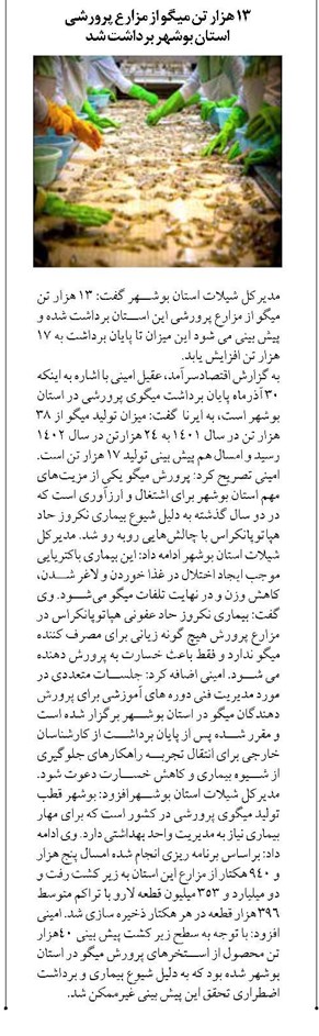 ۱۳ هزار تن میگو از مزارع پرورشی استان بوشهر برداشت شد