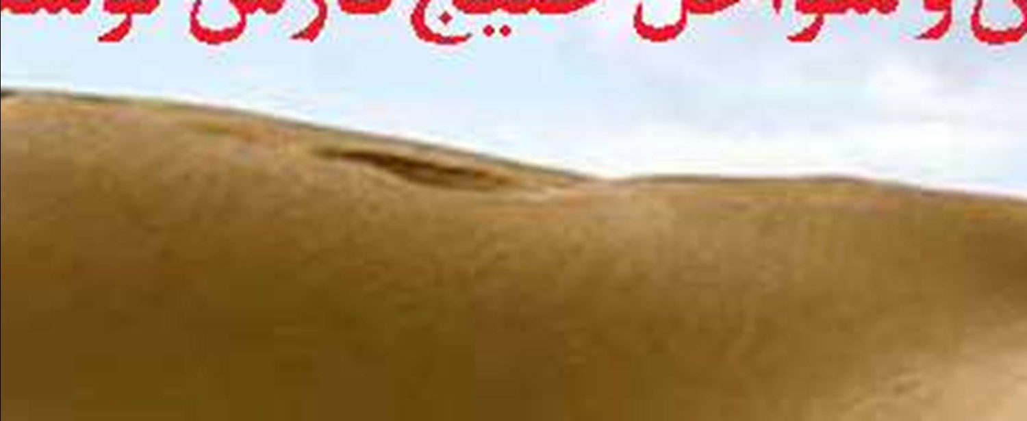 توسعه جزایر در راستای اقتصاد دریامحور  از اولویت‌های مهم دولت است