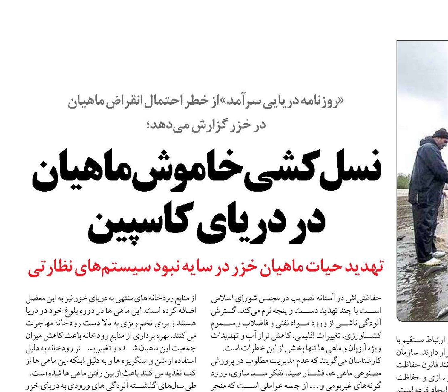 نسل‌کشی خاموش ماهیان در دریای کاسپین