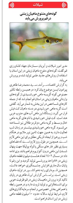 گونههای متنوع ماهیان زینتی در قم پرورش مییابد