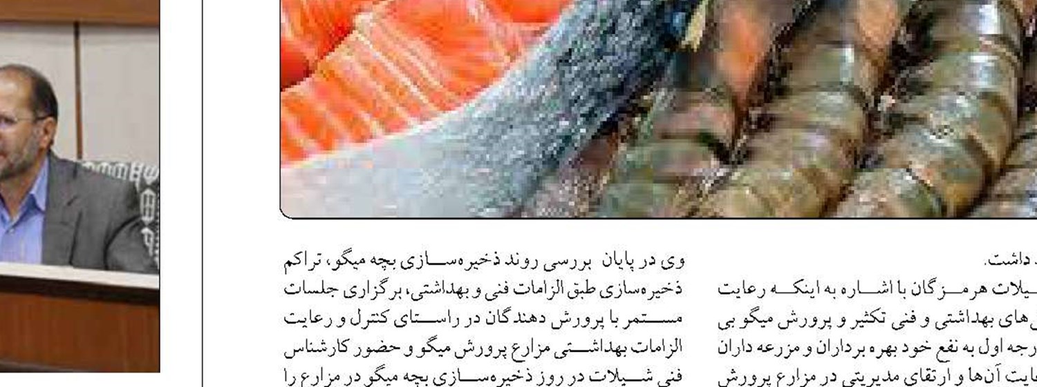برگزاری رویداد «چله بازار» همزمان  با شب یلدا