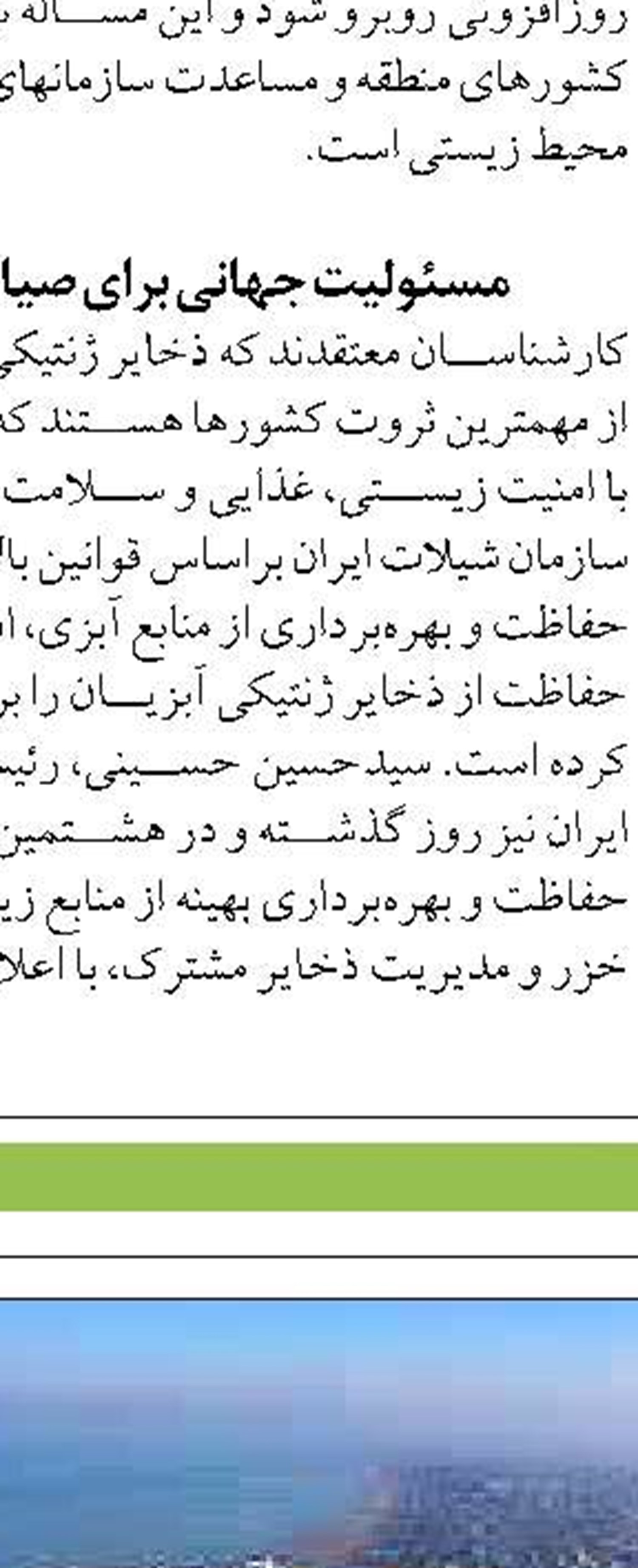 رهاسازی ۱۵ هزار قطعه بچه ماهی  در استخرهای شهرستان بم