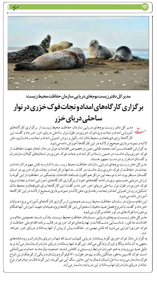 برگزاری کارگاههای امداد و نجات فوک خزری در نوار ساحلی دریای خزر