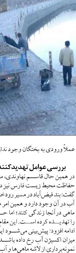 ۹۰ درصد محصول میگو استخر‌های پرورشی بوشهر برداشت شد