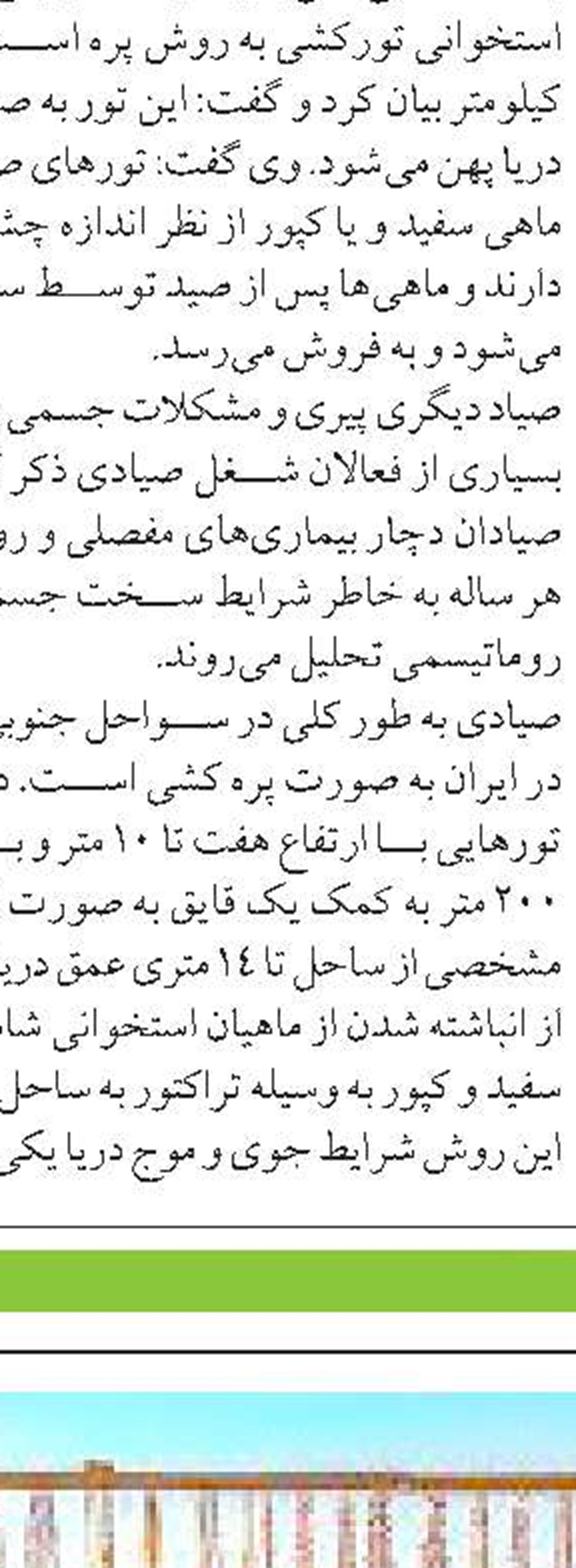 ۶۲۰ تن انواع ماهیان استخوانی در گیلان صید شد