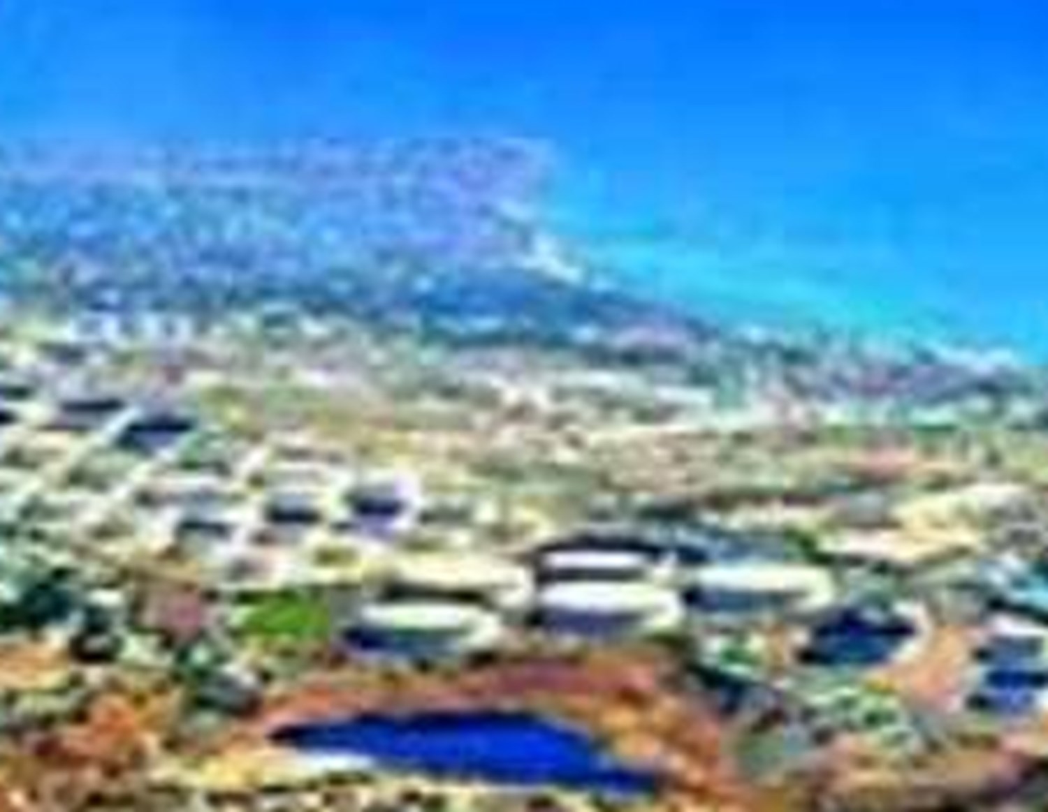 تهدیدسازی از فرصت تجارت «ته‌لنجی» در استان‌های ساحلی
