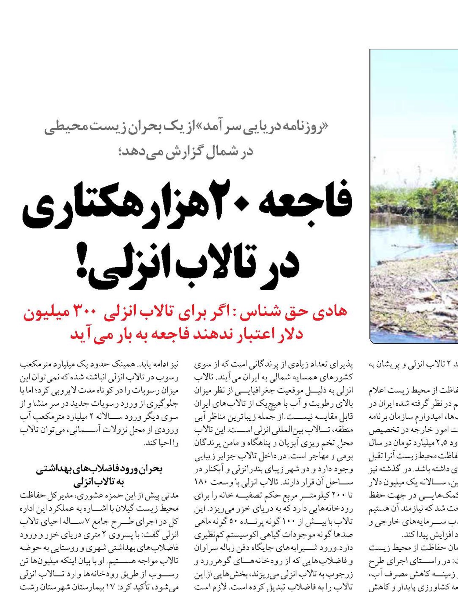 فاجعه  20 هزار هکتاری در تالاب انزلی!