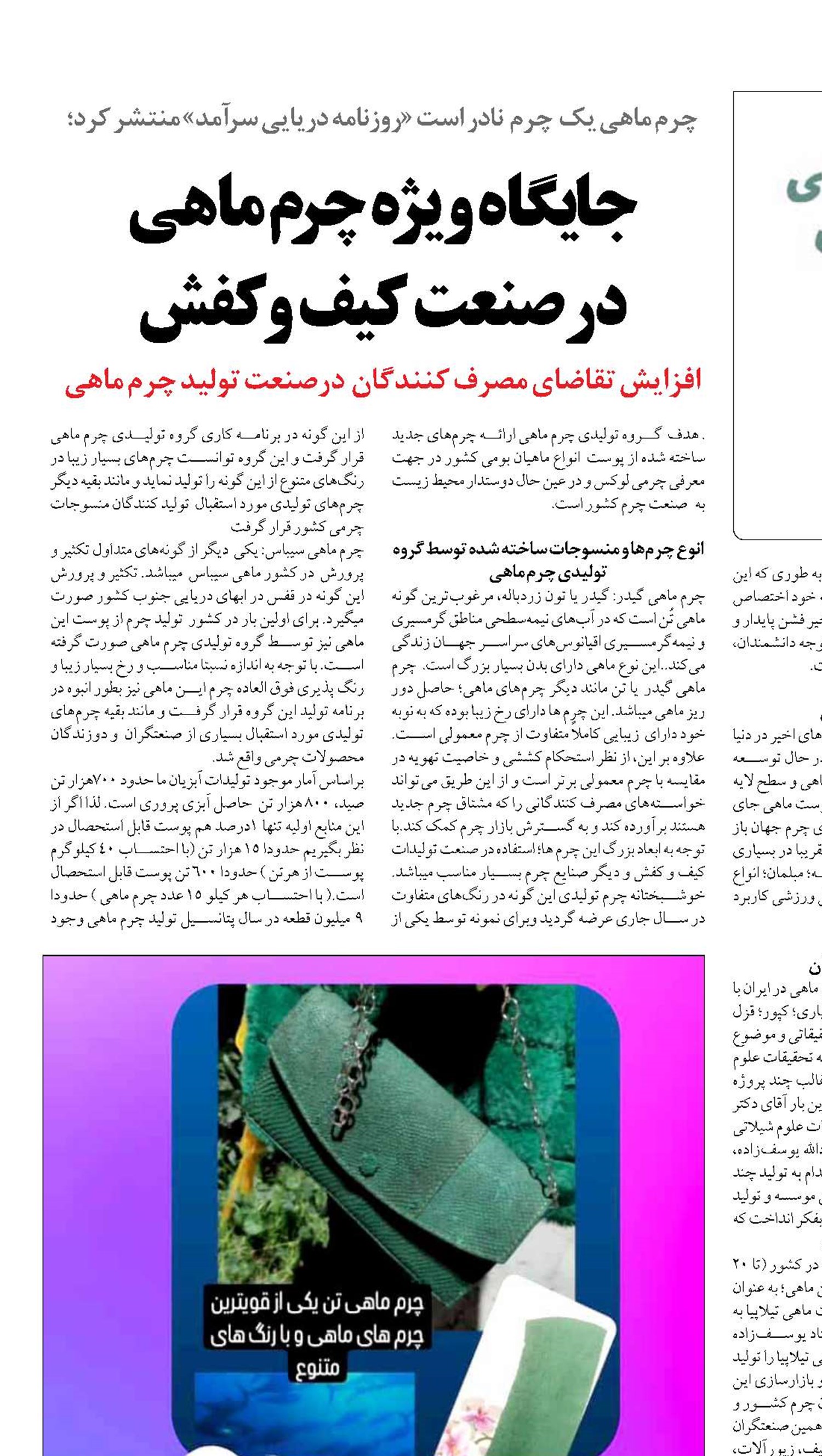 جایگاه ویژه چرم ماهی  در صنعت کیف و کفش