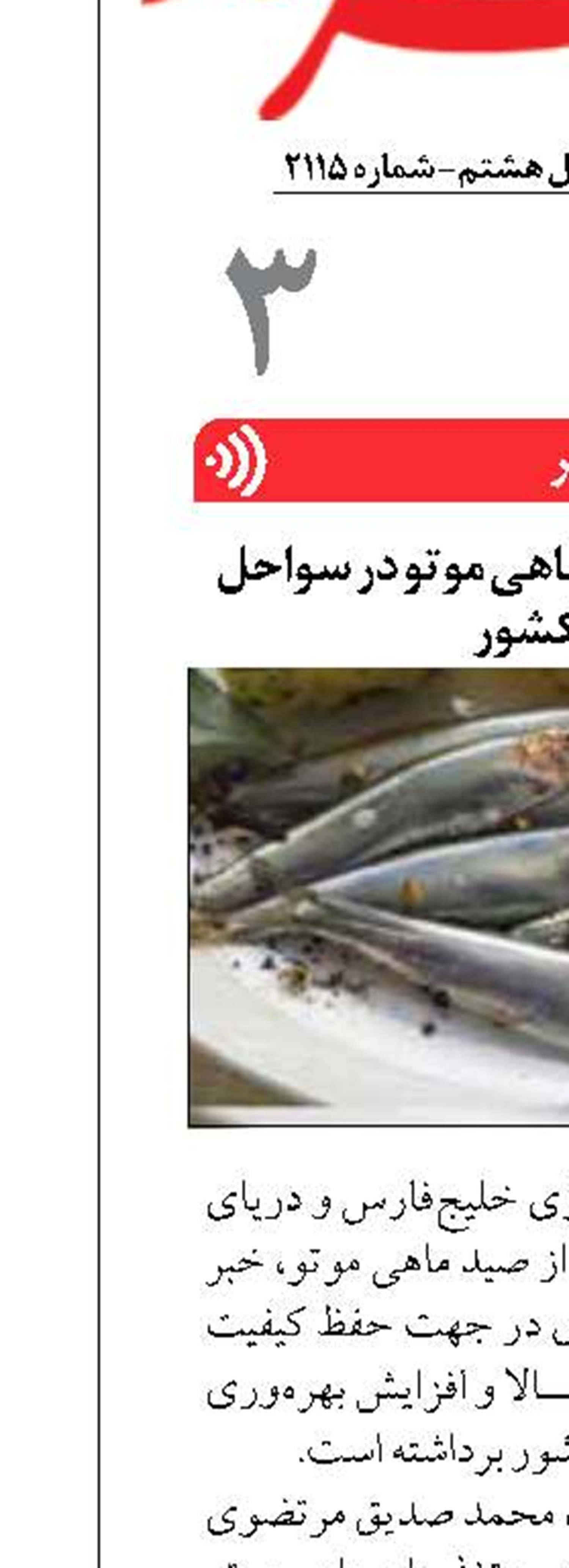ارزیابی علمی کیفیت ماهی موتو در سواحل جنوبی کشور