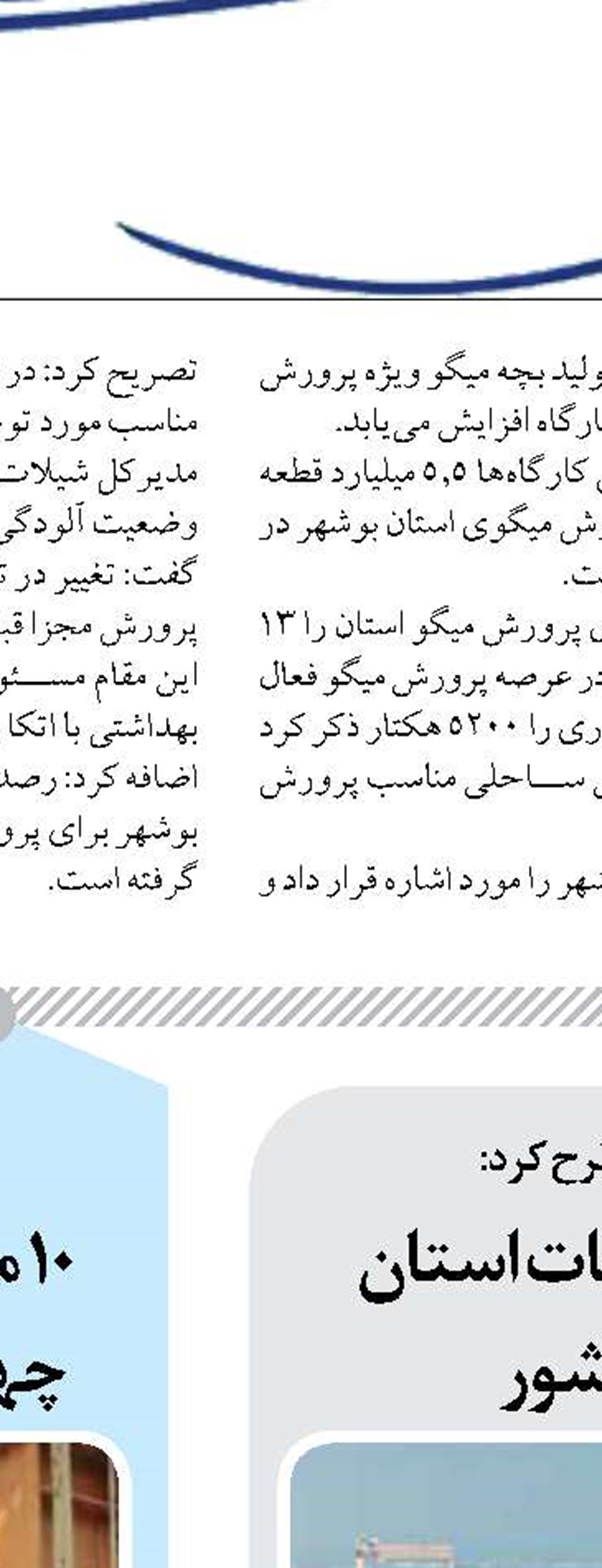 پیشرفت واحدهای ۲ و ۳ نیروگاه اتمی بوشهر به بیش از ۱۶ درصد رسید