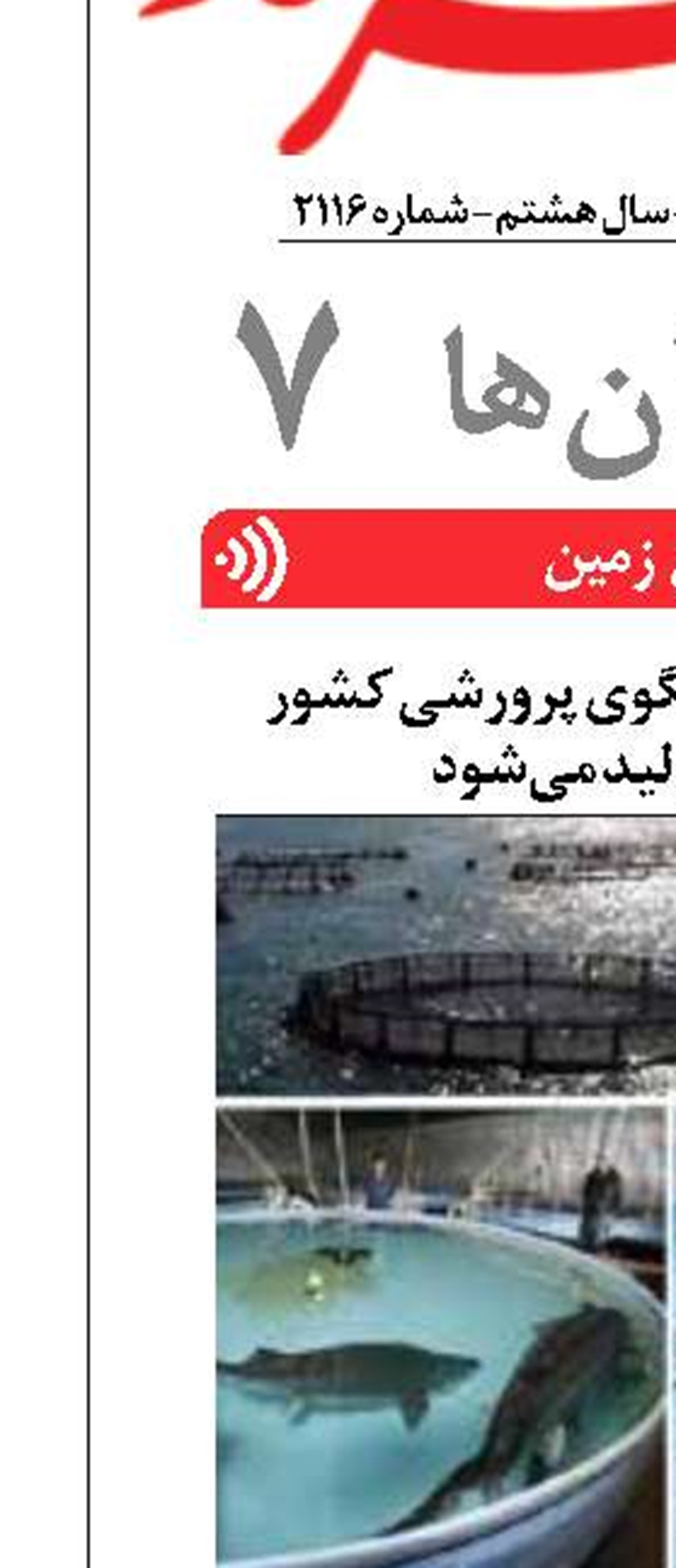 ۶۱ درصد ماهی و میگوی پرورشی کشور  در بوشهر تولید می‌شود