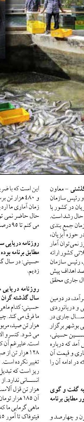 محصولات شیلاتی مازندران به آلمان  و انگلیس صادر می‌شود