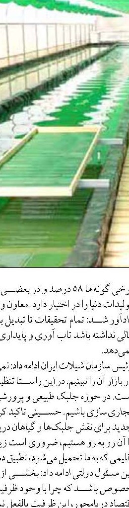 گیلان؛ پیشگام در تولید متراکم ماهیان گرمابی کشور