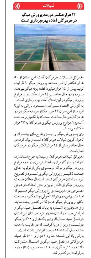 ۱۴ هزار هکتار مزرعه پرورش میگو در هرمزگان آماده بهرهبرداری است