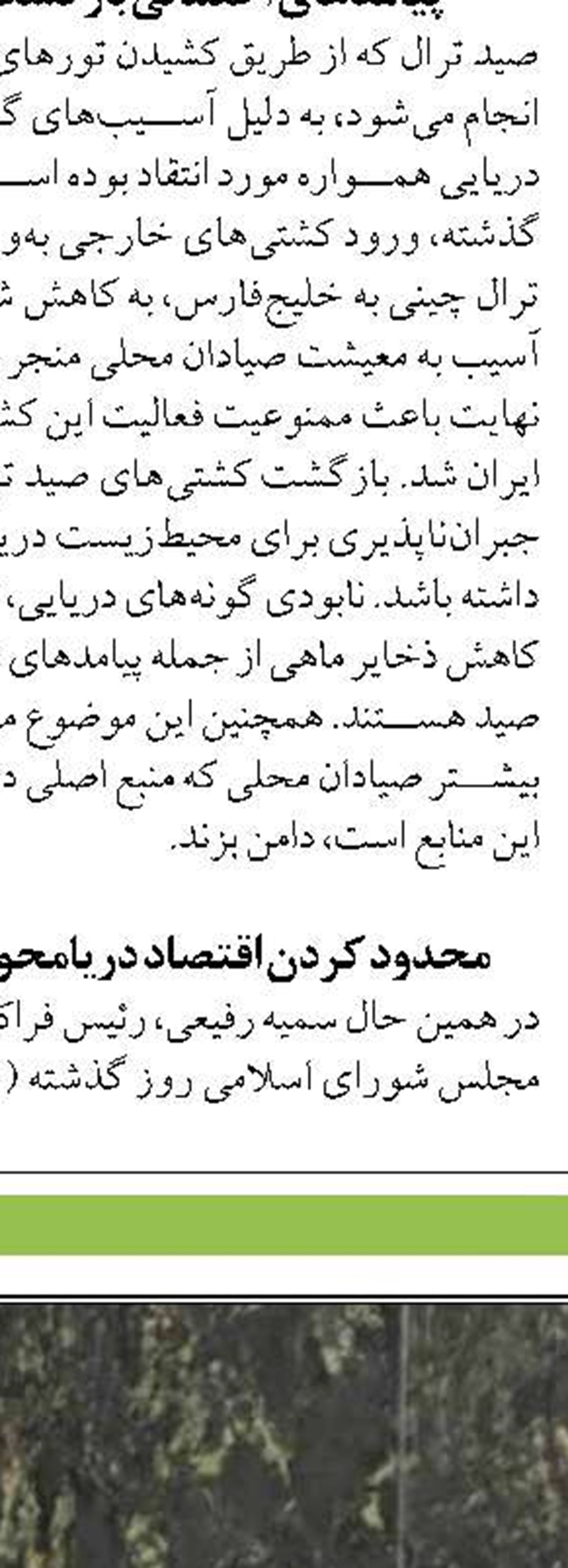 ۱۰ پروژه شیلاتی در استان بوشهر آماده افتتاح و اجراست