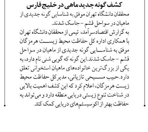 کشف گونه جدید ماهی در خلیج فارس