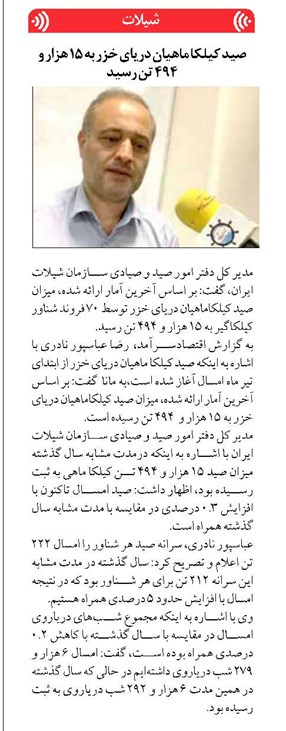 صيد كيلكا ماهيان درياي خزر به ۱۵ هزار و ۴۹۴ تن رسيد