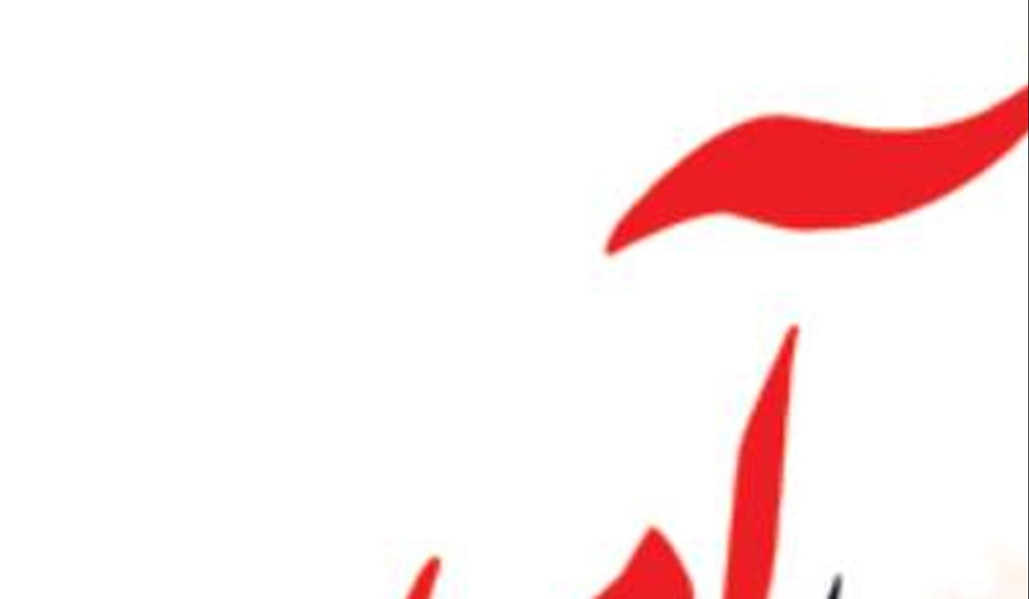 به دنبال توسعه  روابط تجاری با کشورهای حاشیه دریای خزر هستیم