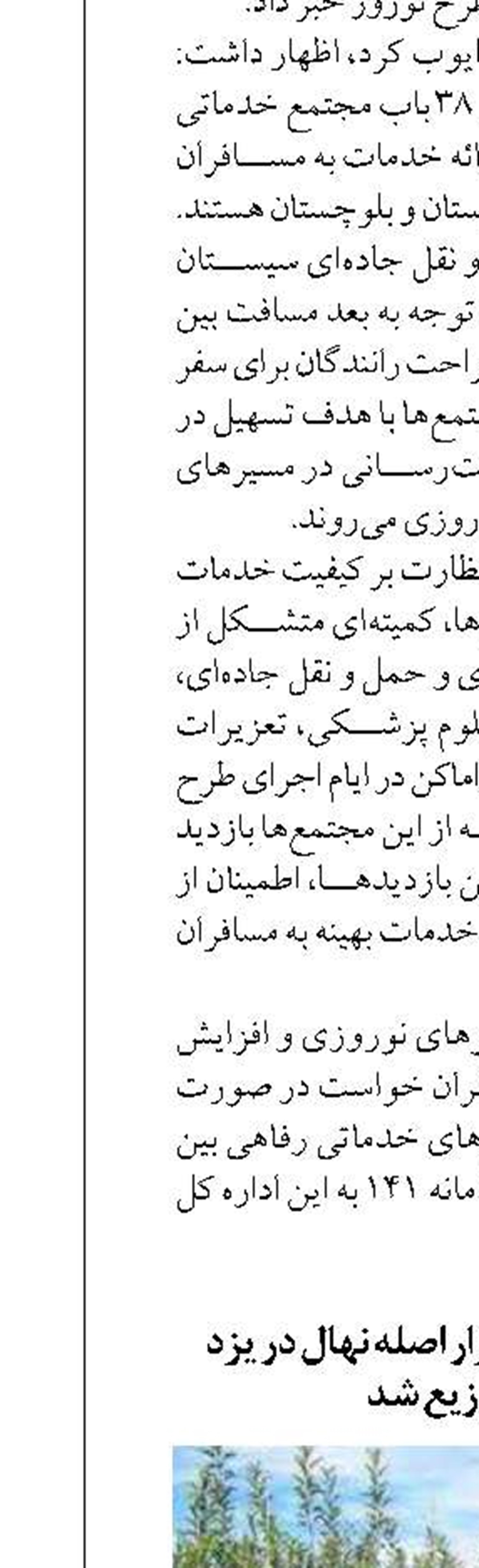 ‌امسال بالغ بر ۸۵۰ هزار اصله نهال در یزد تولید و توزیع شد