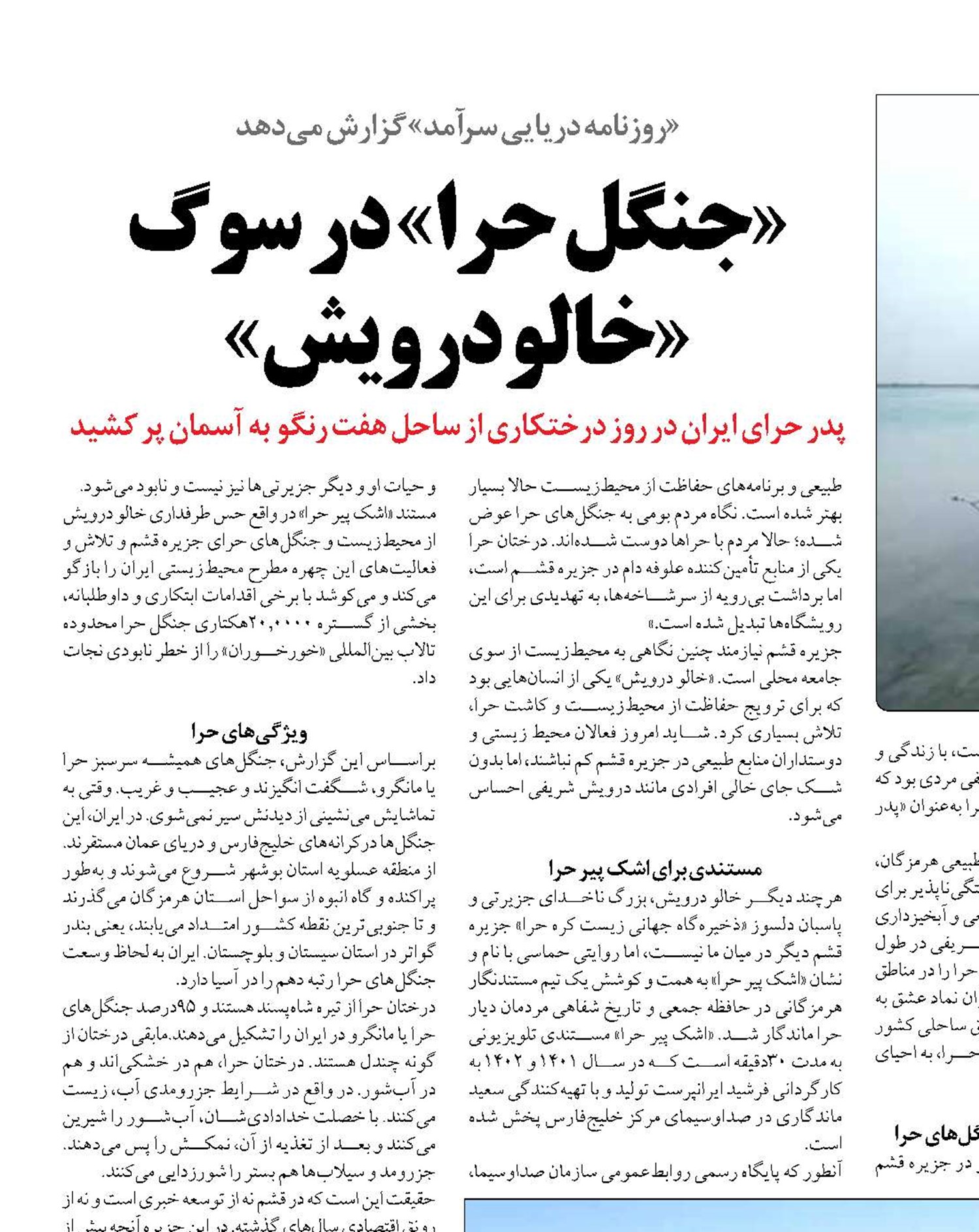 «جنگل حرا» در سوگ «خالو درویش» 