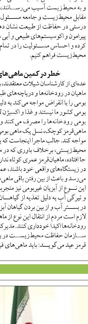 ماهی سفید ۵۰ درصد ترکیب صید را  در مازندران تشکیل می دهد