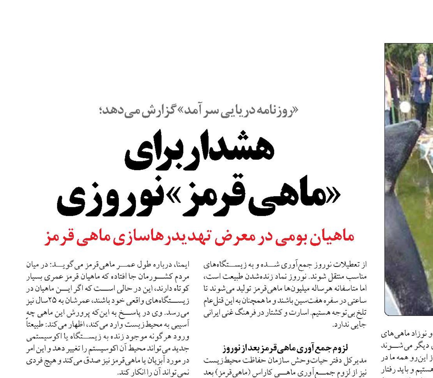 هشداربرای  «ماهی قرمز» نوروزی