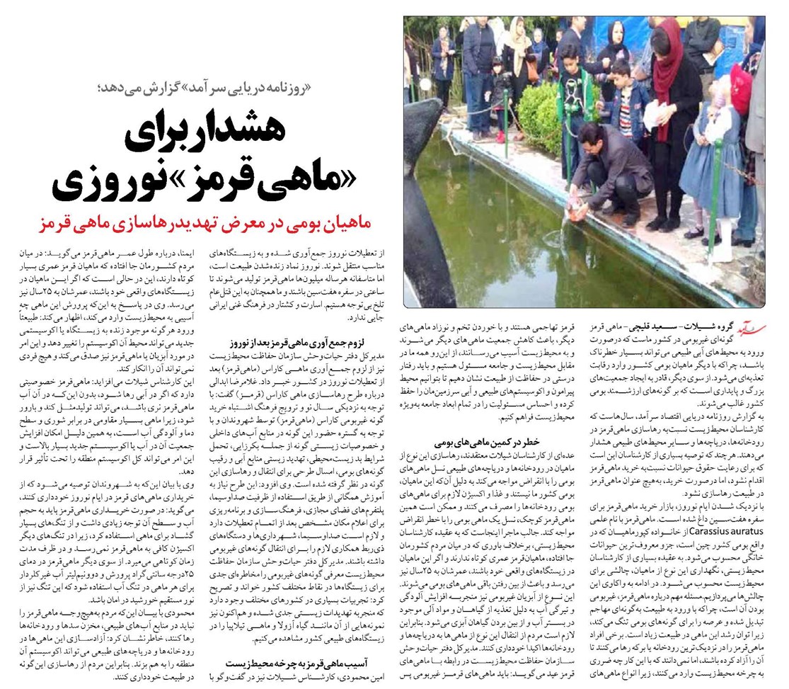 هشداربرای «ماهی قرمز» نوروزی
