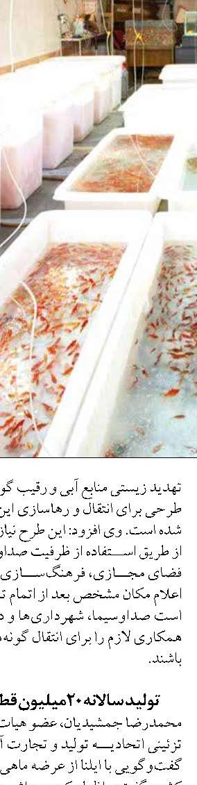 بهبود عملكرد سازمان شيلات با تشكيل شوراي راهبري تحول اداري