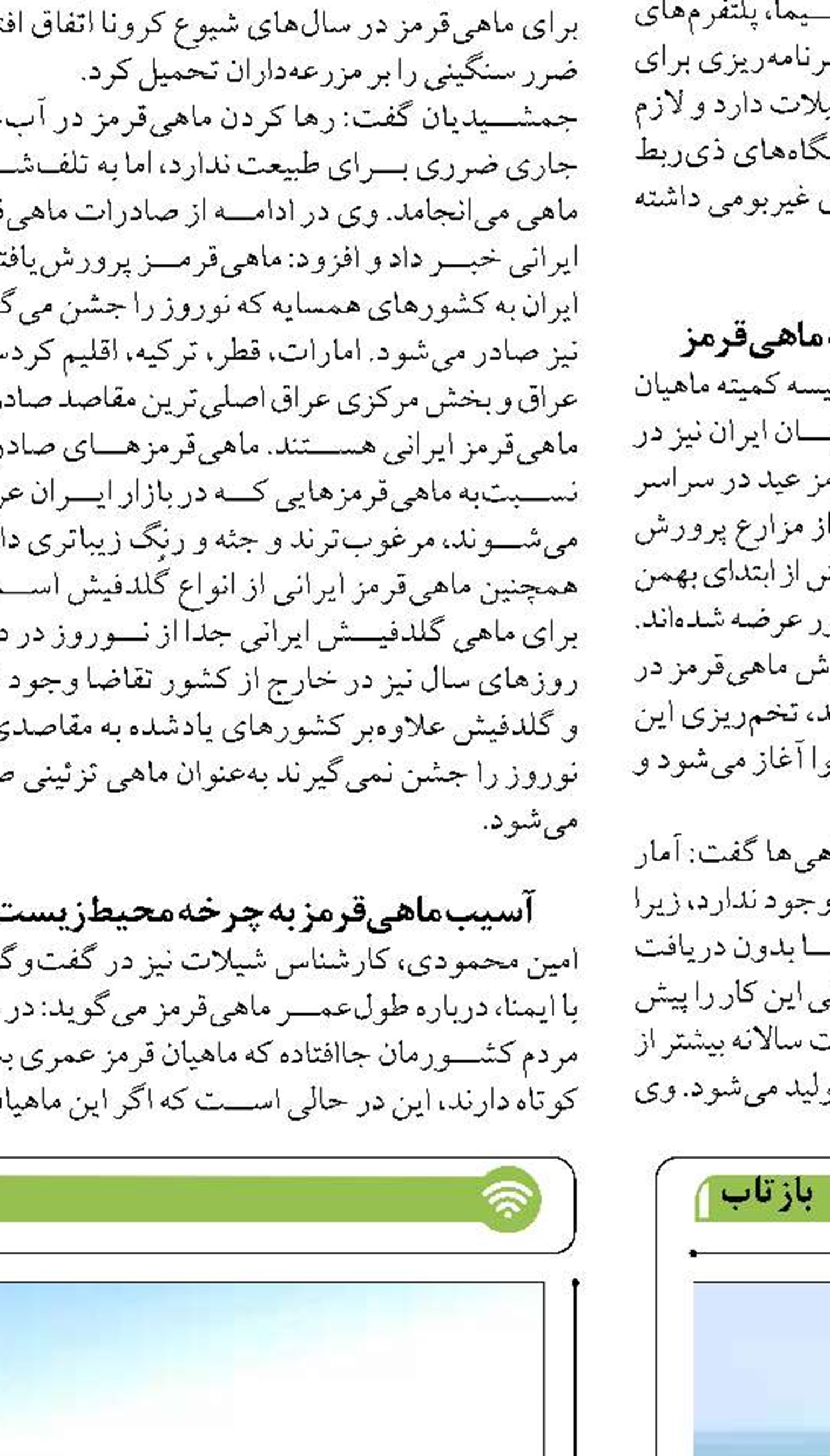 آمادگی بندر امیرآباد در اجرای طرح تسهیل سفرهای دریایی در نوروز ۱۴۰۴