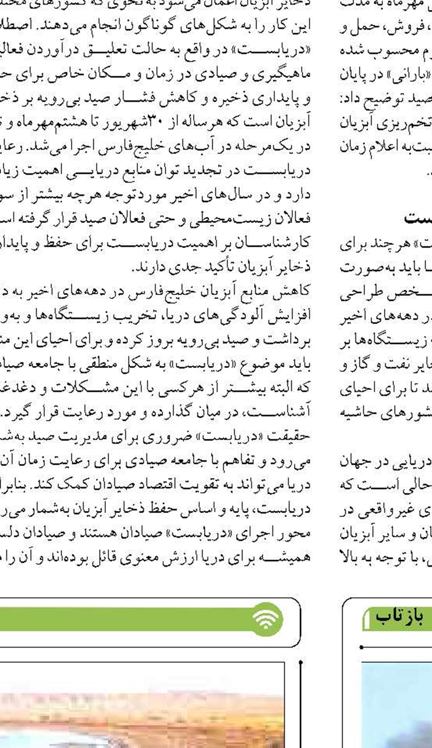 استان ساحلی هرمزگان، نیروی انسانی کافی برای رسیدگی به حوزه زیست دریایی ندارد