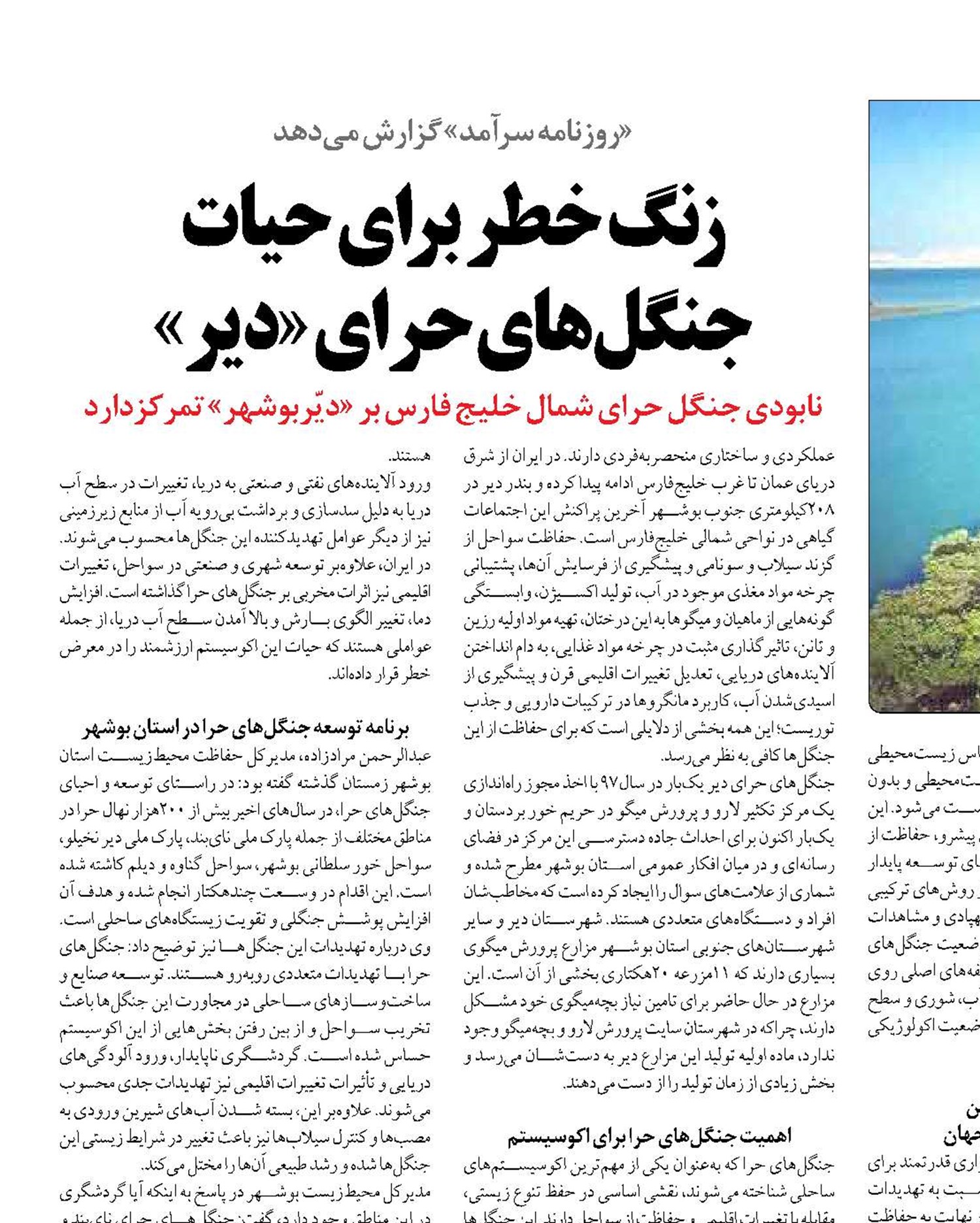 زنگ خطر برای حیات  جنگل‌های حرای «دیر»
