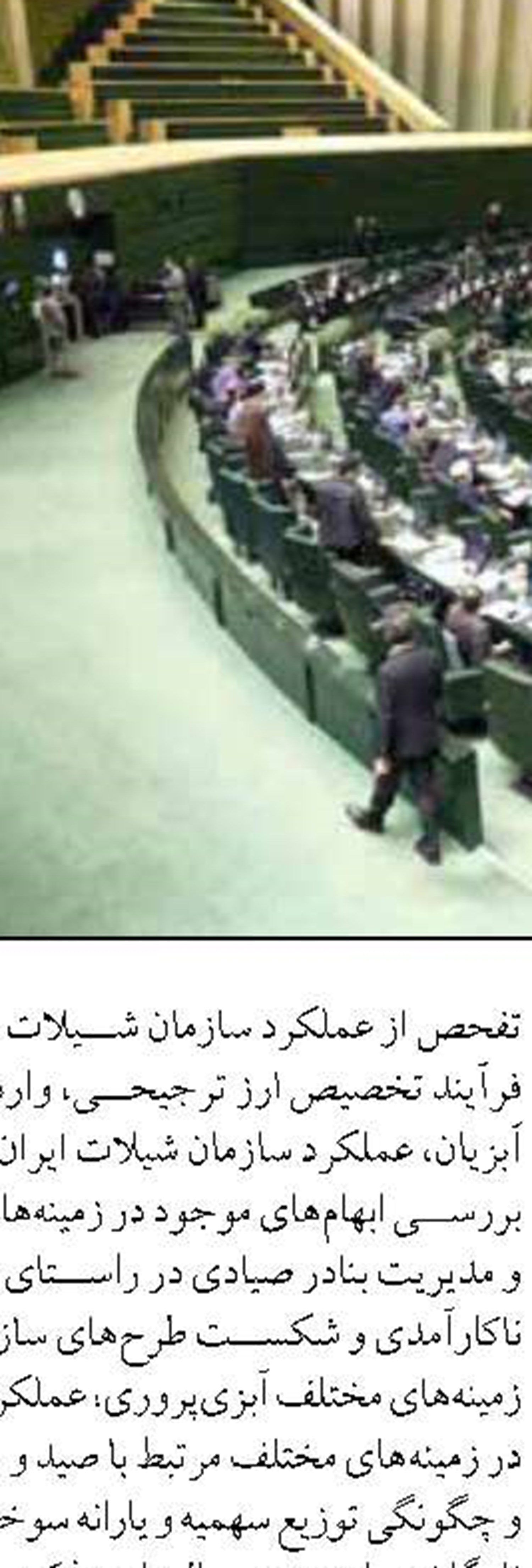 رفع مشکلات آبزی‌پروری آزادگان باعث افزایش تولید در خوزستان می‌شود