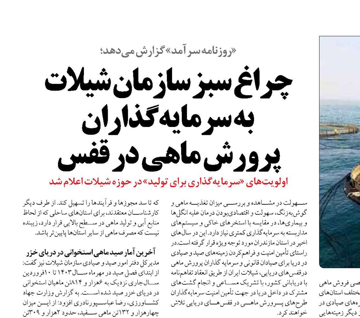 چراغ سبز سازمان شيلات  به سرمايه‌گذاران  پرورش ماهي در قفس