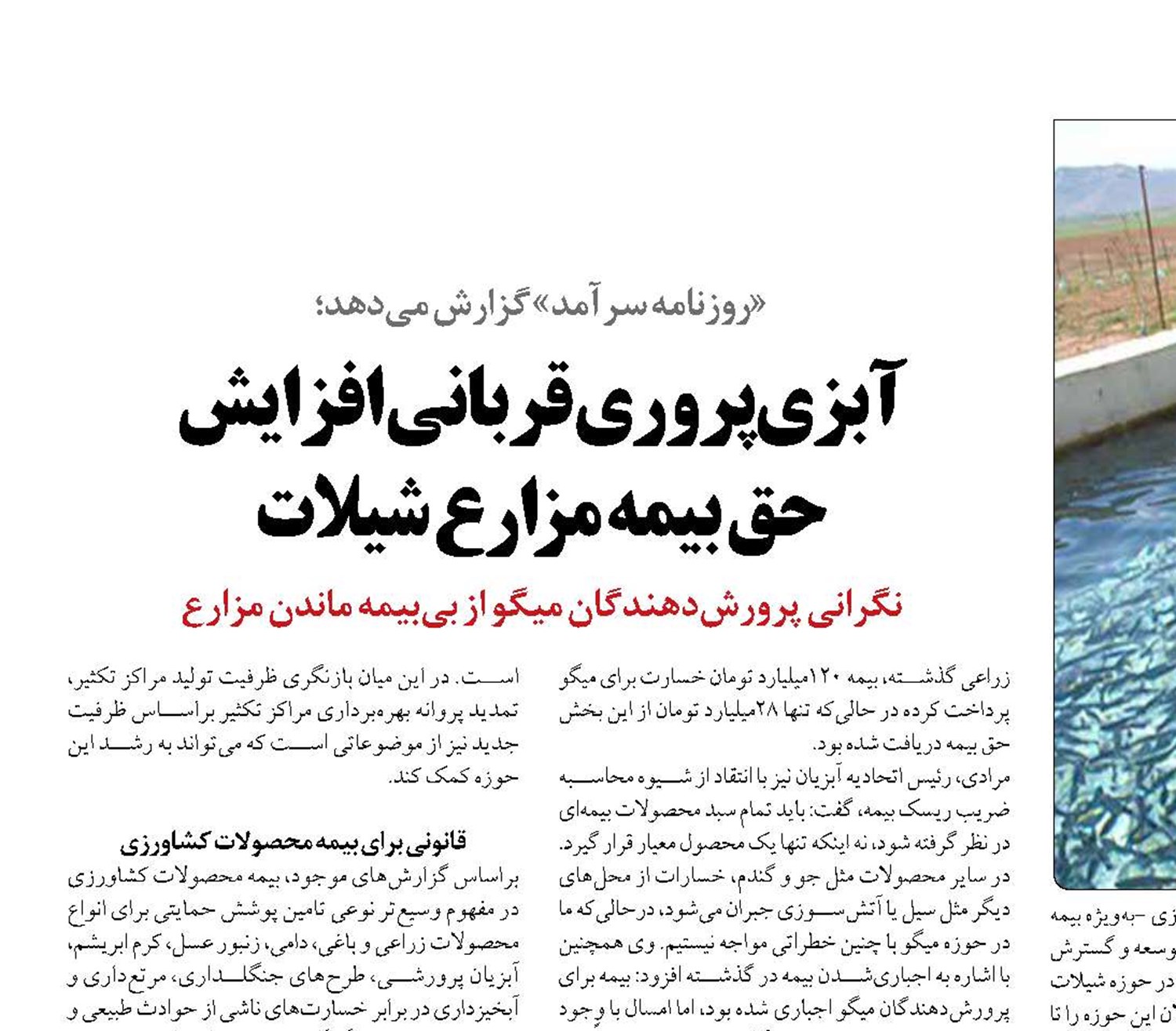 آبزی‌پروری قربانی افزایش  حق بیمه مزارع شیلات