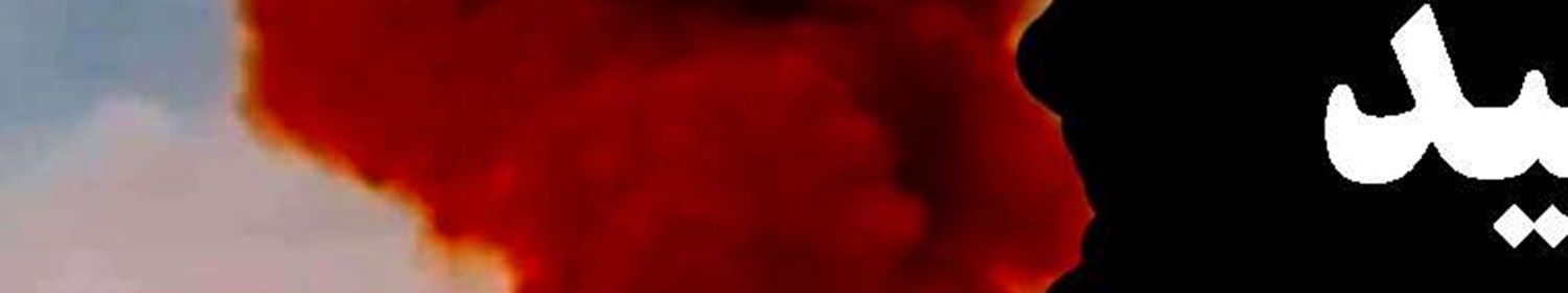 بازنگری مسیر توسعه پتروشیمی‌ها در سواحل جنوبی