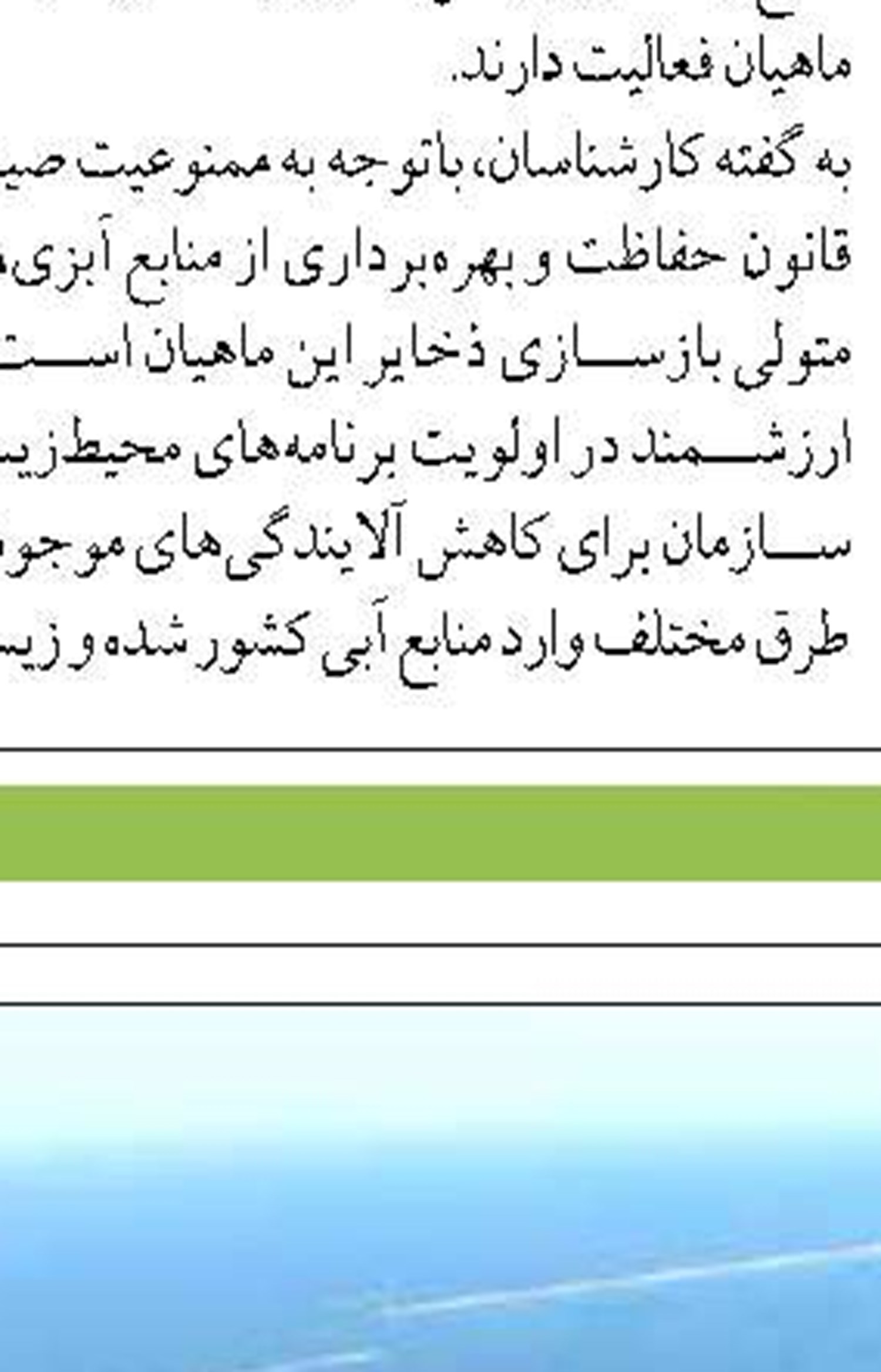 افزایش صادرات میگوی تولیدی  دانش بنیان قشم