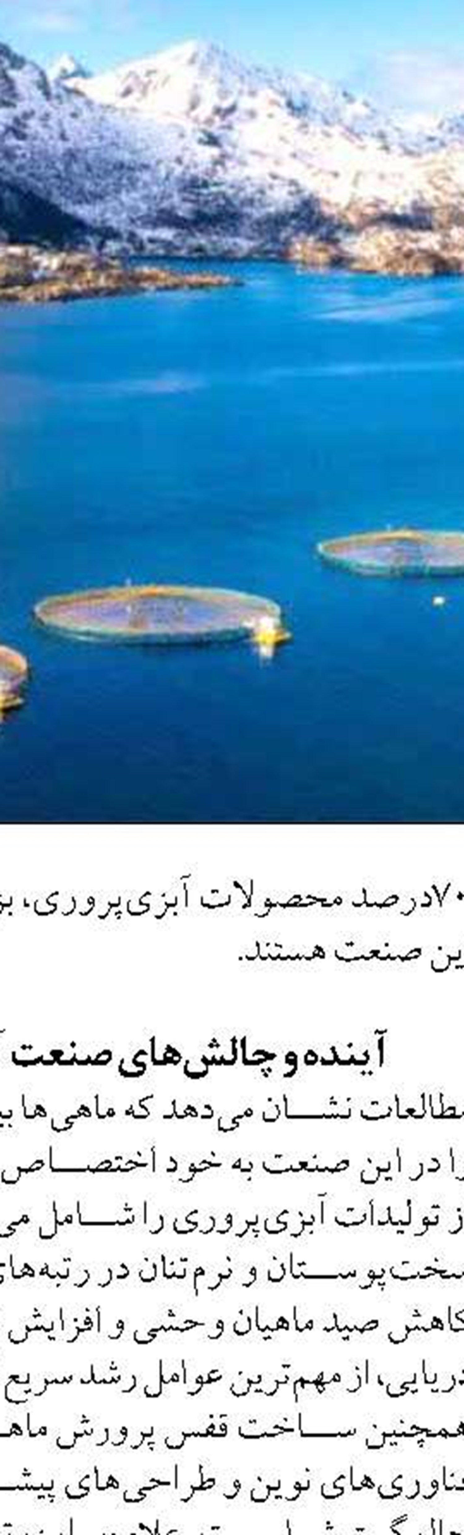 خاويار ايران به برزيل صادر مي‌شود