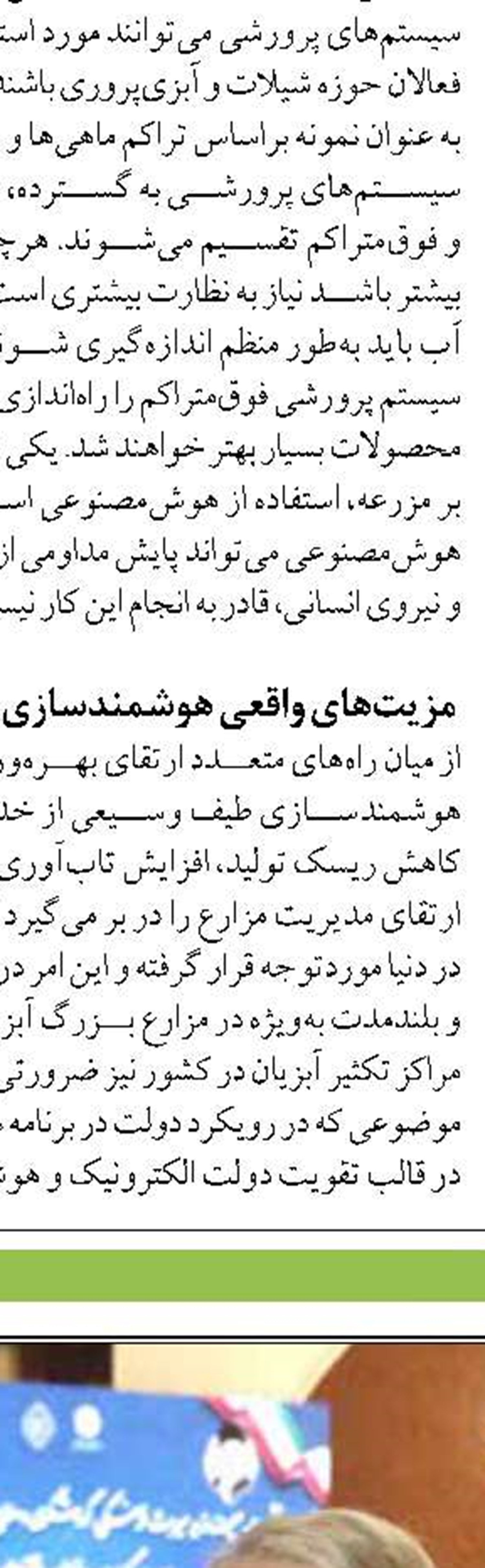 پخت و عرضه خرچنگ و ماهی‌مرکب خلاف شرع و غیرقانونی است