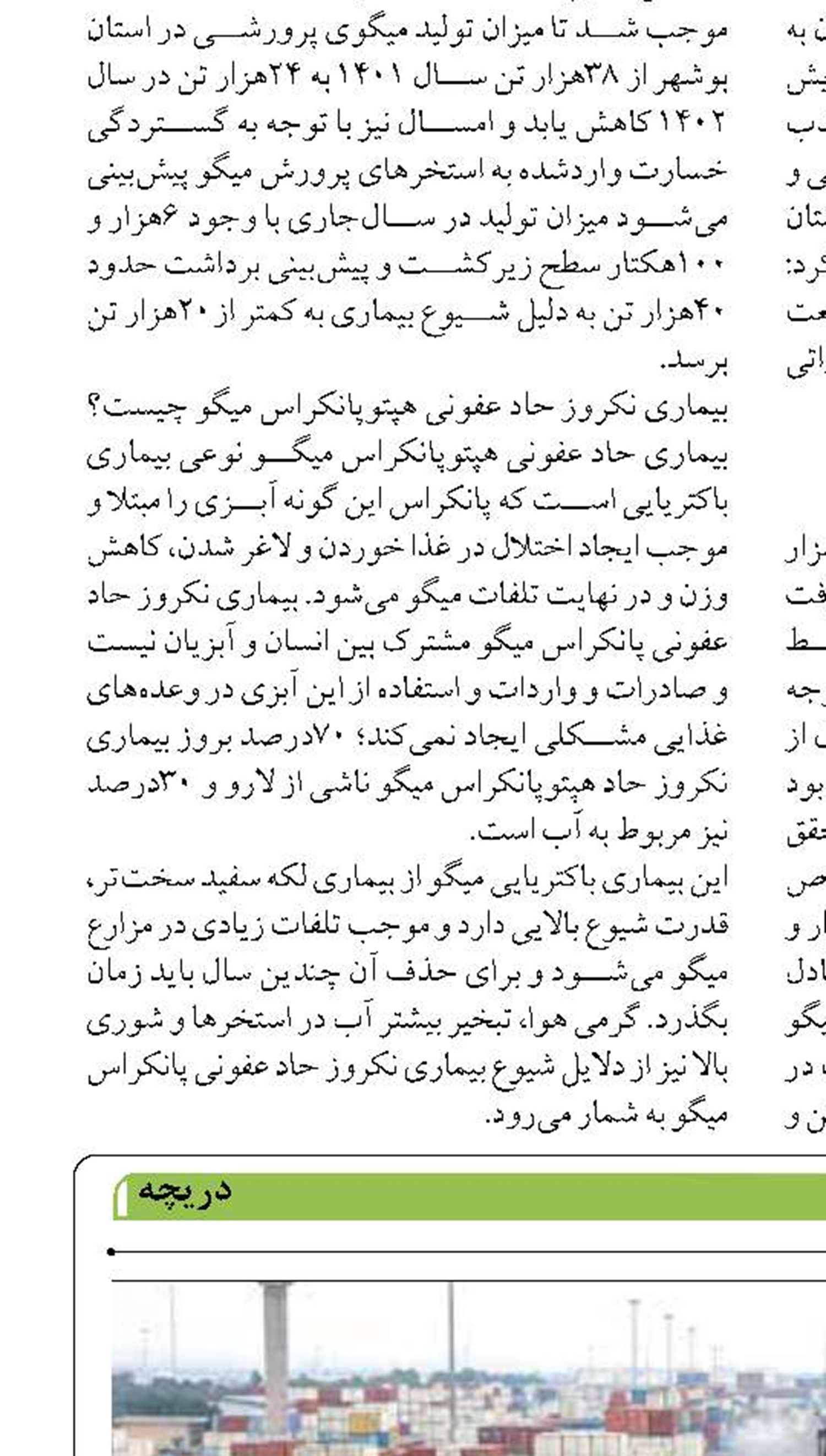تحقق توسعه  در یا محور؛  فرصت سازی و سرمایه گذاری