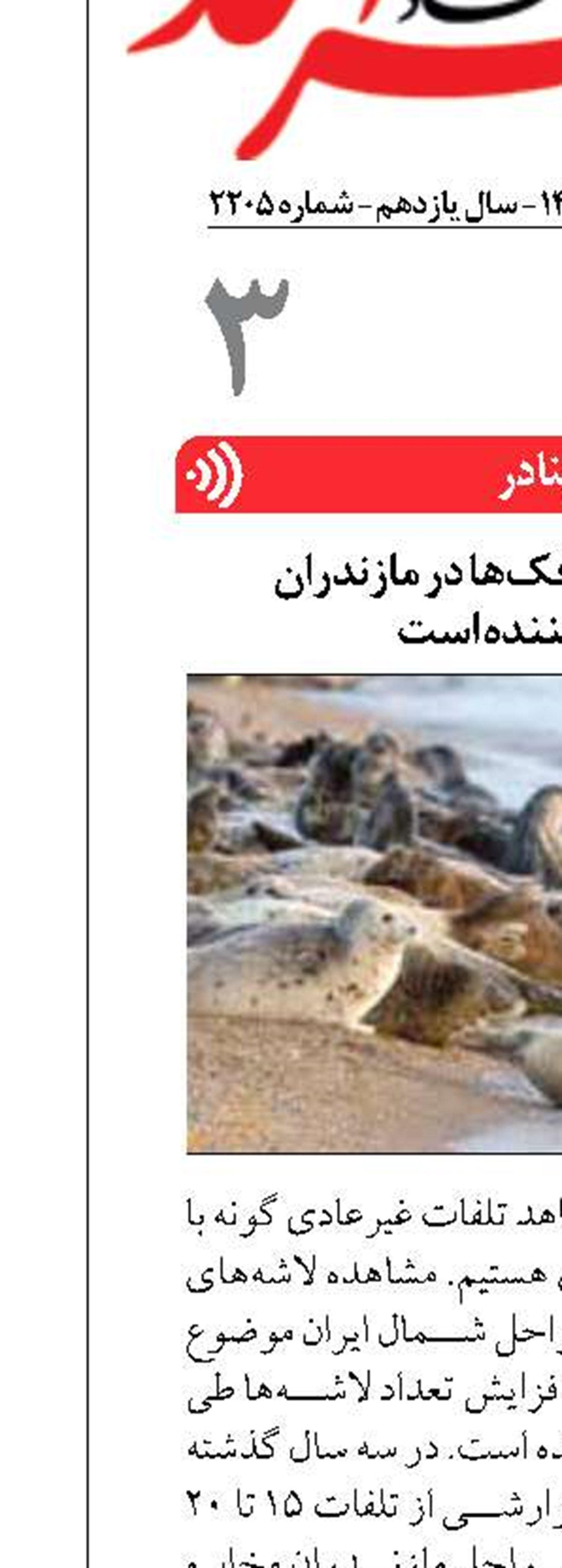 افزایش تلفات فک‌ها در مازندران نگران‌کننده است