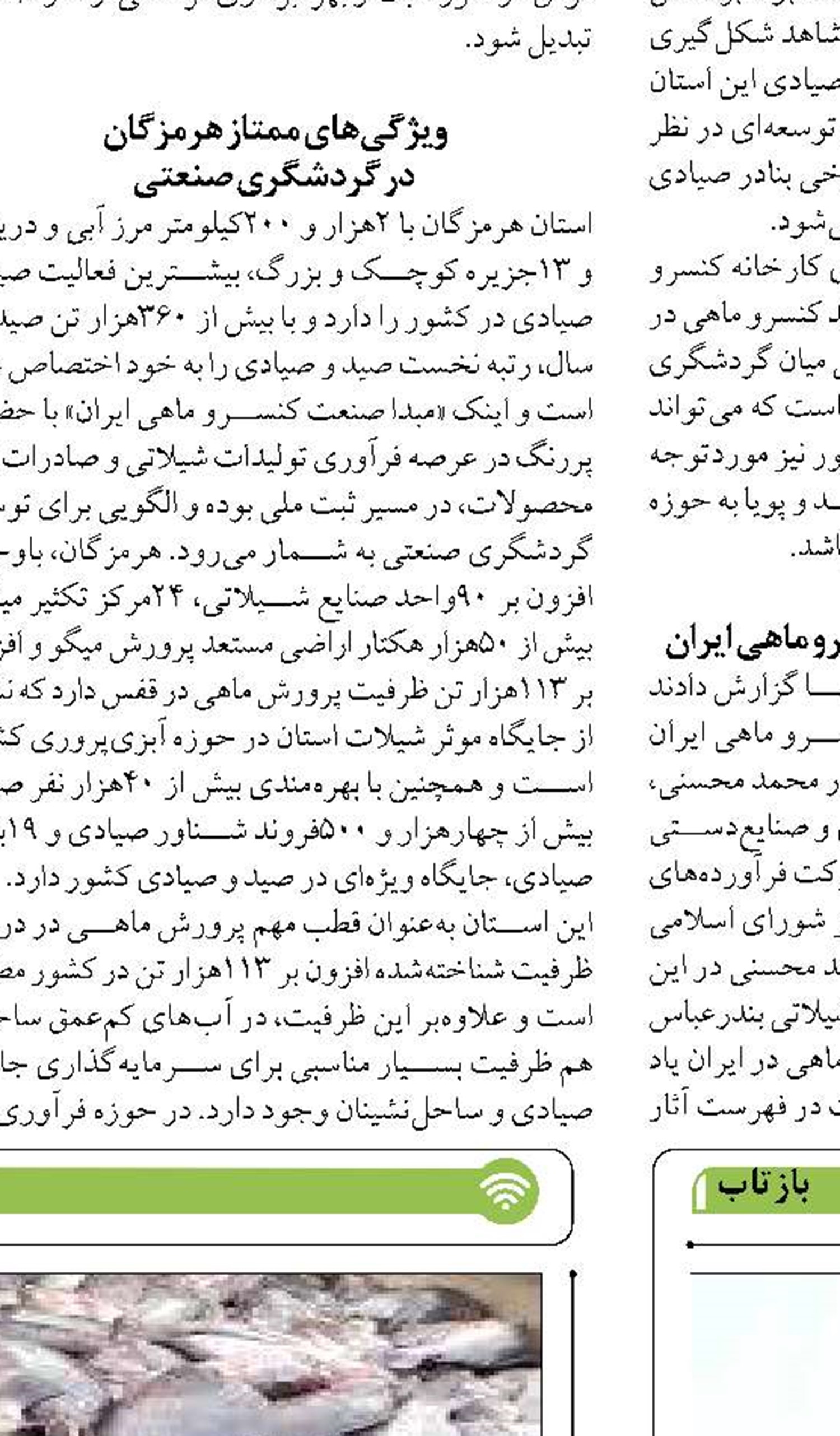 «رسوب کالا در بنادر» نتیجه نبود خطوط کشتیرانی منظم برای صادرات  و  واردات است