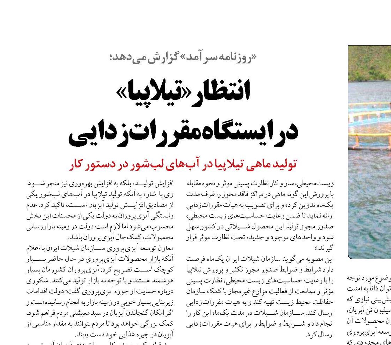 انتظار «تیلاپیا»  در ایستگاه مقررات‌زدایی
