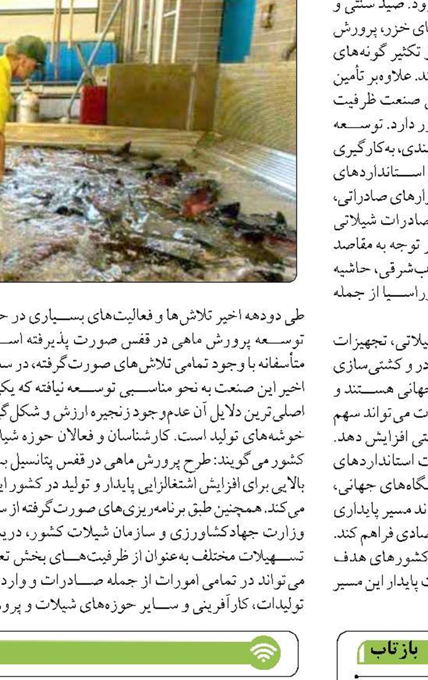 پویش «جان بندر» انجمن کشتیرانی ۱۰۰ میلیارد تومان از خسارت خودروهای فاقد بیمه را جبران می‌کند